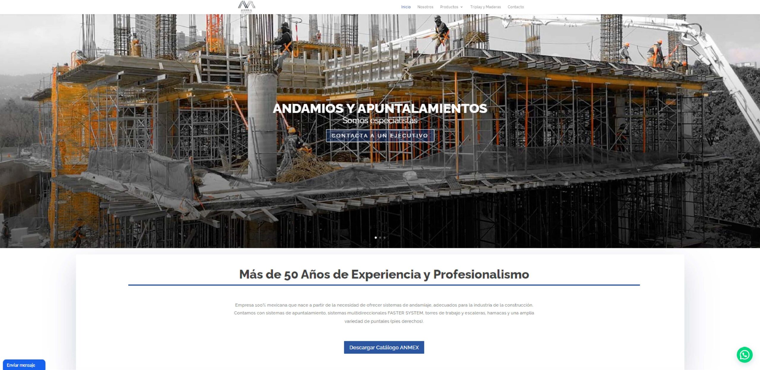 MACHOTE-PARA-PROYECTOS-WEB-ANMEX-PRO-scaled-1