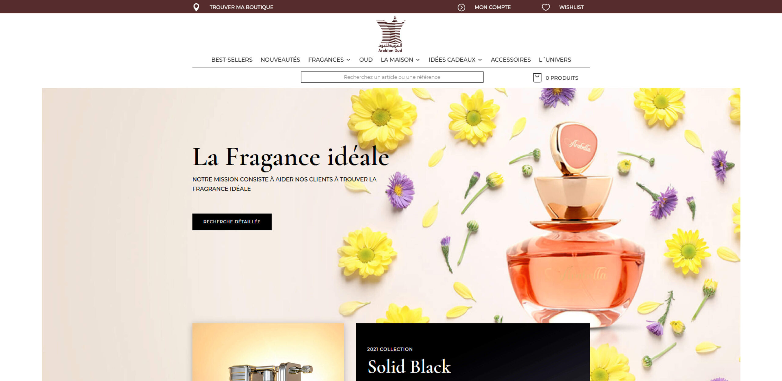 PROYECTOS-WEB-PRO-1-scaled-1