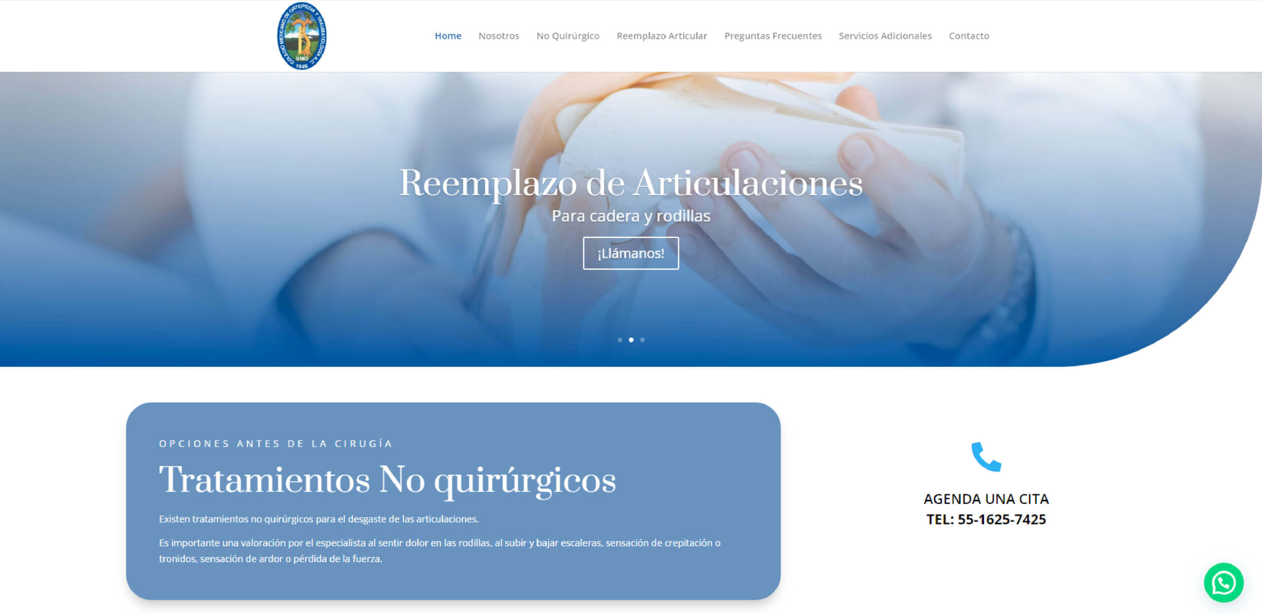 PROYECTOS-WEB-ortopediayreemplazoarticular